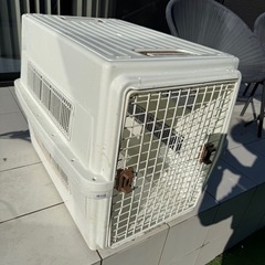 大型犬用　クレートの画像