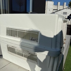 大型犬用　クレートの画像