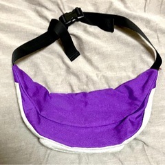 チャムス　ウエストバッグの画像