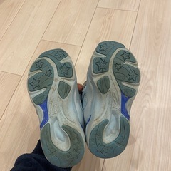 アナ雪のスニーカー　17センチの画像