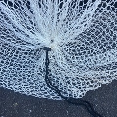 フィールドフォース　ストラックアウトの画像