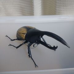 一番くじ　昆虫　A賞　ヘラクレスオオカブトの画像