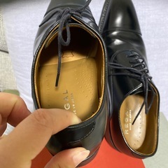 REGAL 25サイズの画像