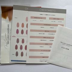 スキンカラーコーディネートチャートの画像