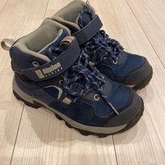 Alpine 登山靴　21センチの画像