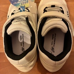 瞬足 17.0cmの画像