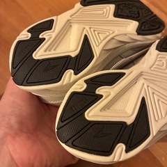 瞬足 17.0cmの画像