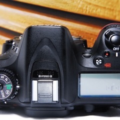 入門機では物足りない人へ Nikon D7100 高解像 高速AF 高速連写の画像