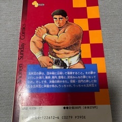 うっちゃれ五所瓦12の画像