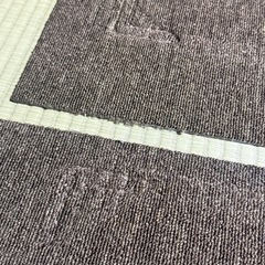 50㎝四方　カーペット2枚の画像
