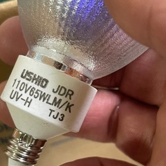 ビーム球の画像