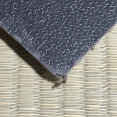 50㎝四方　カーペット2枚の画像