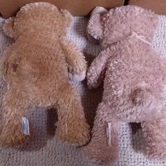 ダッフィー　シェリーメイ　美品の画像