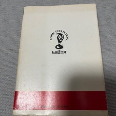 やけくそ天使の画像