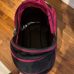 エアバギー フォードッグの画像