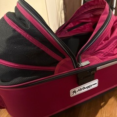 エアバギー フォードッグの画像