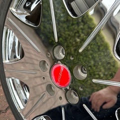 レグザス　　D-800の画像