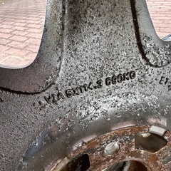 レグザス　　D-800の画像