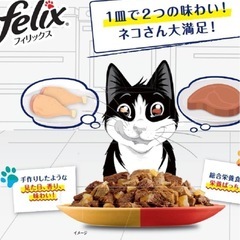 フィリックスパウチ ダブルのおいしさ お肉バラエティ(チキン＆ビーフ、ビーフ＆ターキー) 50gx48袋入り 2箱の画像