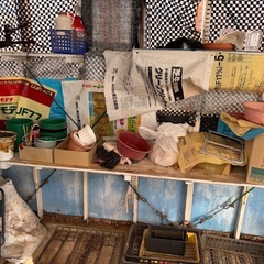 温室の中の色々の画像