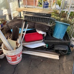 温室の中の色々の画像