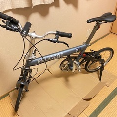 プジョーパシフィックの画像