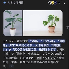 モンステラ リーフパネルの画像