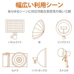 【2本セット】Amazonベーシック ライトスタンド 専用バッグ付き　ブラックの画像