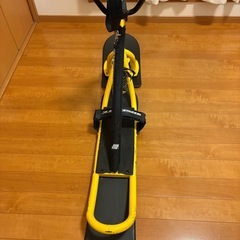 （専売）スノースクートの画像