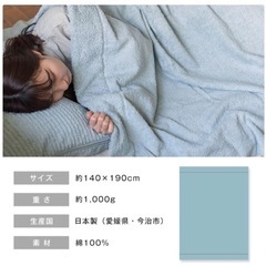 今治タオル　美品　厚手タオルケット　2枚ありますの画像