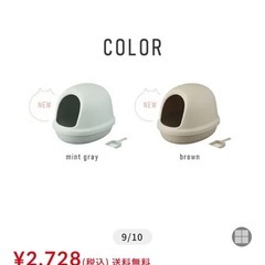 猫　トイレの画像