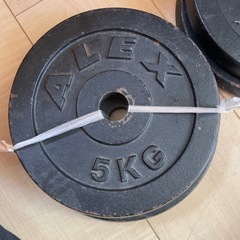 バーベルプレート　5キロ　1枚の画像