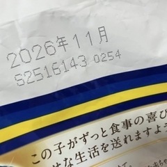 猫のごはんの画像