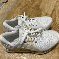 アシックス　EvoRide 24センチ US7 EURO38の画像