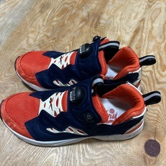 REEBOK INSTAPUMP FURY ROAD 24cmの画像