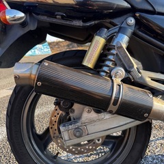 バリオス250の画像