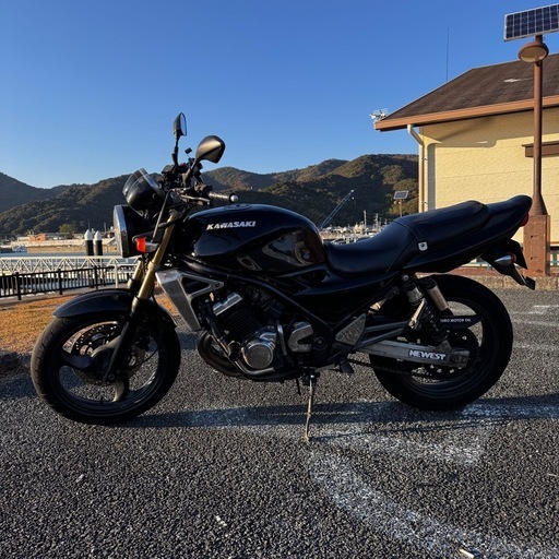 バリオス250