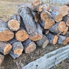 【無料】薪（ピオーネの木）の画像