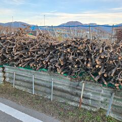 【無料】薪（ピオーネの木）の画像