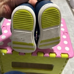 carrot 14センチの画像