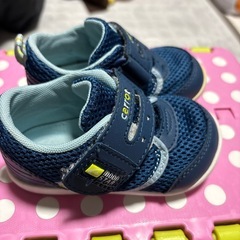 carrot 14センチの画像