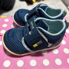 carrot 14センチの画像