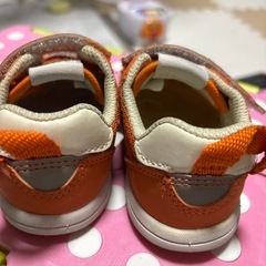 IFME 13センチの画像