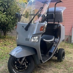 ジャイロキャノピー の画像