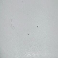 白いダイニングチェア一脚、貰ってくださいの画像