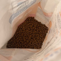 猫エサ1/3の画像