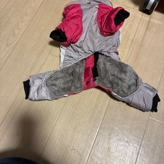 犬のお洋服の画像