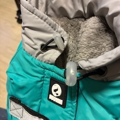 犬のお洋服の画像