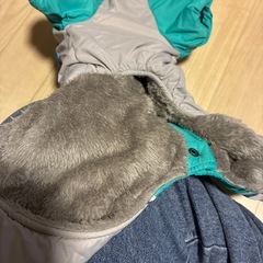 犬のお洋服の画像