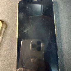 Apple 
iPhone12 Proの画像